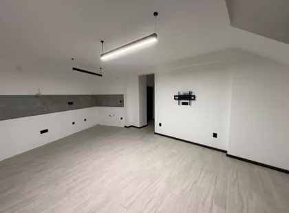 Šojka | 4zida.rs