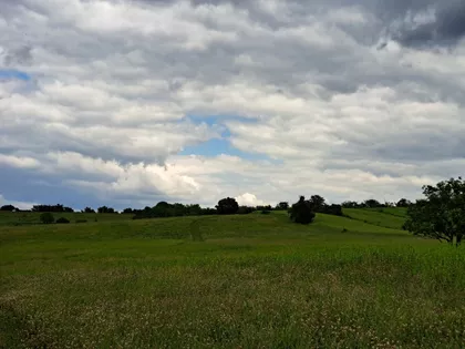 Drenova medja | 4zida.rs