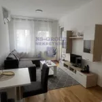 Socijalno, Rotkvarija, Gradske lokacije, Novi Sad | 4zida.rs | 4zida.rs