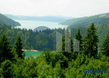 Debelja | 4zida.rs