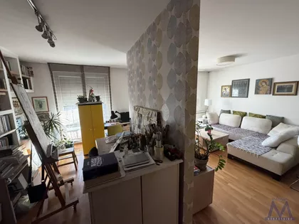 Novi Sad - Centar | 4zida.rs