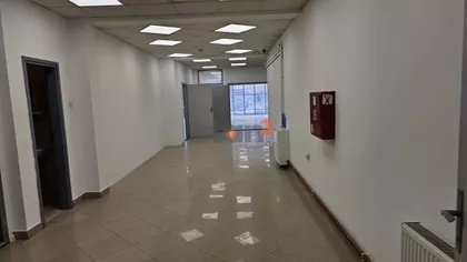 Bulevar Nemanjića | 4zida.rs