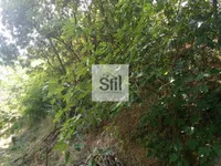 Sremska Kamenica, Gradske lokacije, Novi Sad | 4zida.rs | 4zida.rs