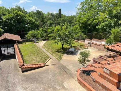 Teodora Drajzera | 4zida.rs