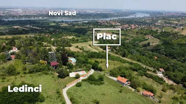 Ledinci