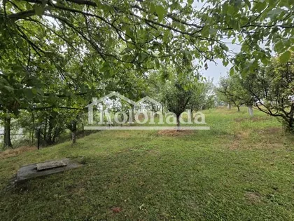 Rogača | 4zida.rs