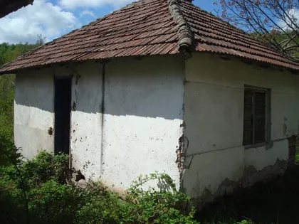 Dobro Polje | 4zida.rs