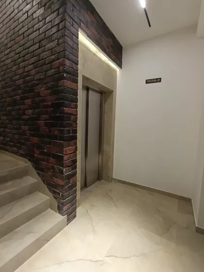 Cara Dušana | 4zida.rs