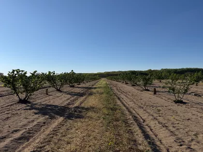 Hajdukovo | 4zida.rs