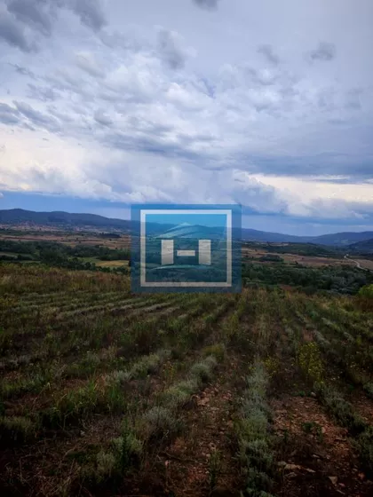 Bošnjane | 4zida.rs