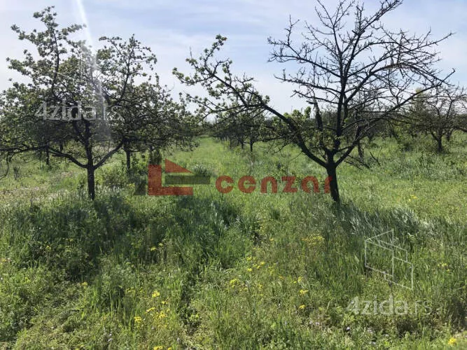 Poljoprivredno zemljište | 4zida