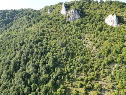 Kaluđerovići  | 4zida.rs