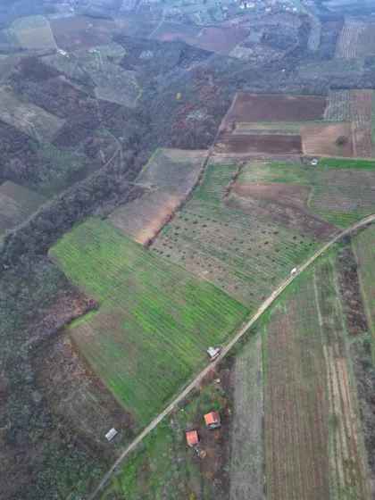 Srpsko-Grčkog Prijateljstva | 4zida.rs