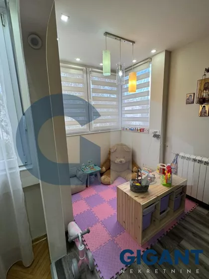 Mis Irbijeve | 4zida.rs