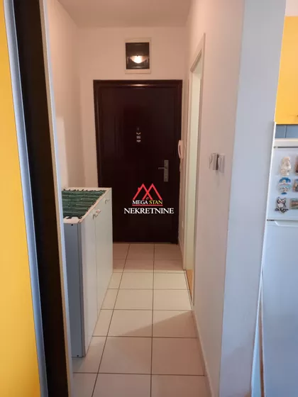 Veselina Masleše | 4zida.rs