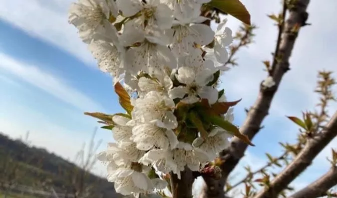 Poljoprivredno zemljište | 4zida