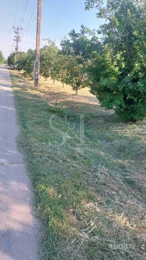 Plac | 4zida