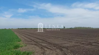 Golubinci | 4zida.rs