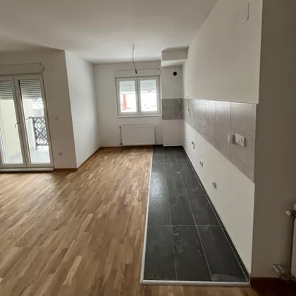 Vojvode Stepe Stepanovića | 4zida.rs