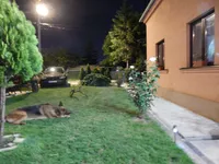 Erdoglija, Gradske lokacije, Kragujevac | 4zida.rs | 4zida.rs