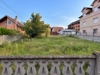Borča | 4zida.rs