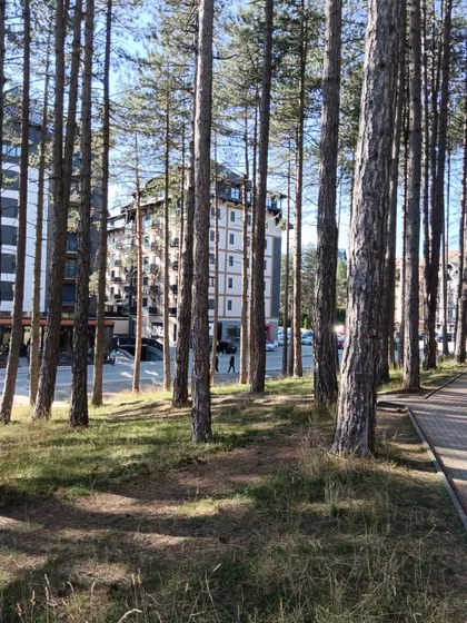 Miladina Pećinara 60 | 4zida.rs