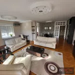 Novi Sad, Gradske lokacije, Stari Grad | 4zida.rs | 4zida.rs