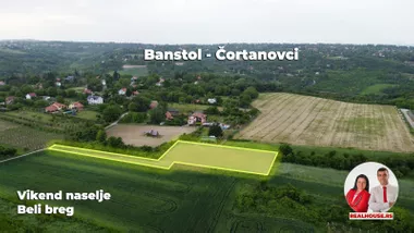 Čortanovci