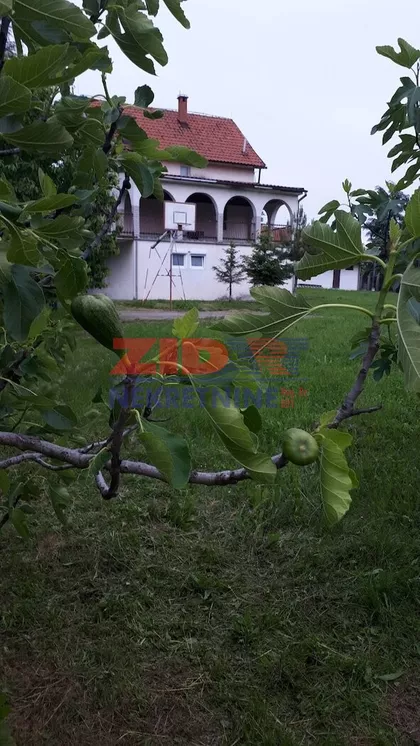 Vinogradi | 4zida.rs