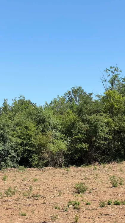 Timočki put | 4zida.rs