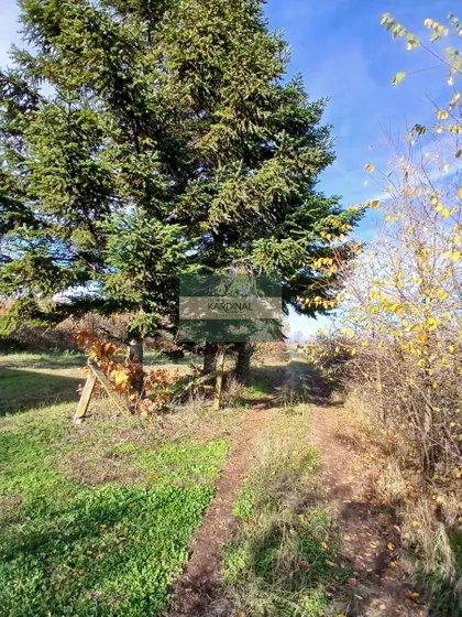 Donje Štiplje | 4zida.rs