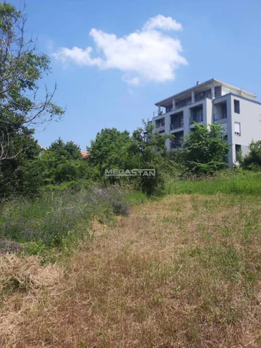 Miloja Vasića