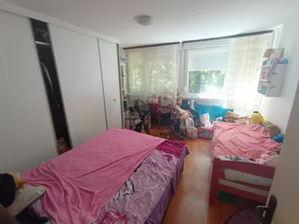 Radovana Simića  Cige | 4zida.rs