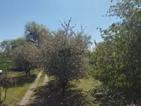 Misa, Gradske lokacije, Pančevo | 4zida.rs
