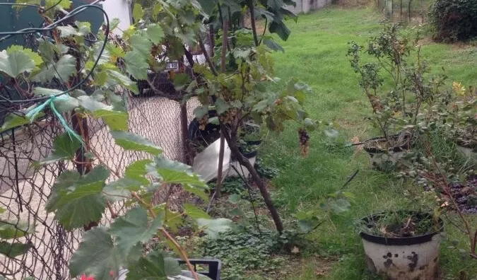 Plac | 4zida