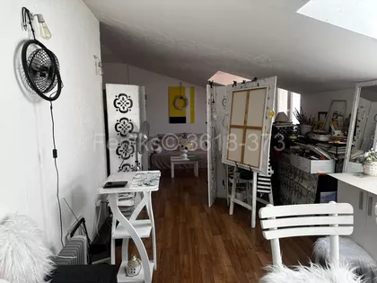 Predraga Vasića | 4zida.rs