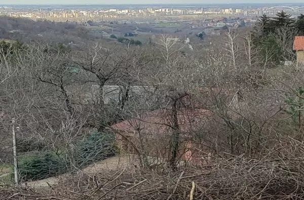 Plac | 4zida