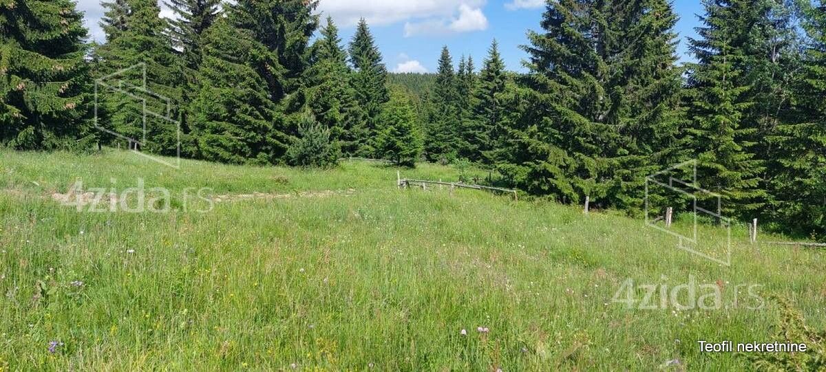 Odvraćenica-Ski centar Golija - Prikaz 4
