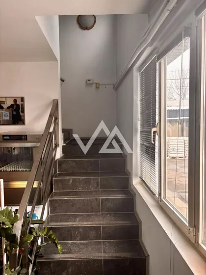 Petra Maravića | 4zida.rs