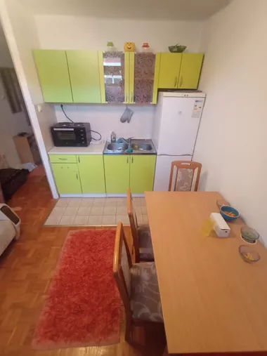 Dr Svetislava Kasapinovića
