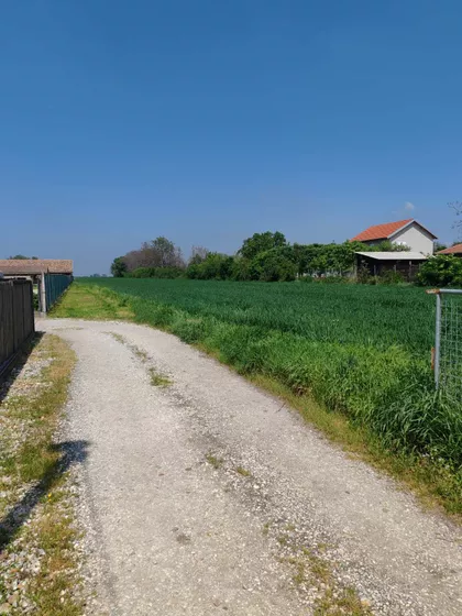 Stara Misa | 4zida.rs