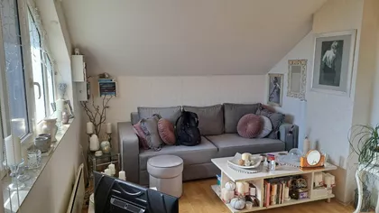 Žike Mesarovića | 4zida.rs