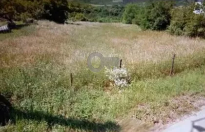 Lipovički put 3 deo | 4zida.rs