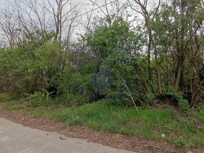 Pejićevi Salaši | 4zida.rs