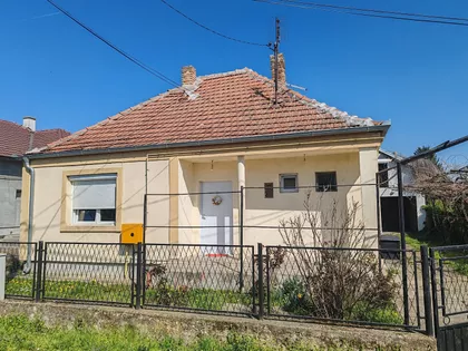 Braće Panić | 4zida.rs