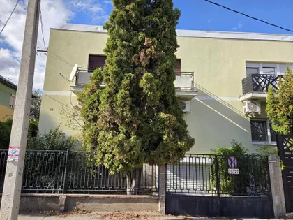 Šandora Olaha | 4zida.rs