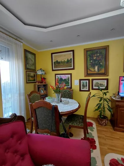 Miodraga Živanova | 4zida.rs