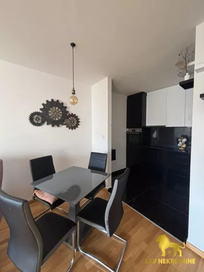 JERNEJA KOPITARA | 4zida.rs