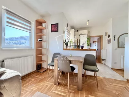 Miljana Miljanića | 4zida.rs