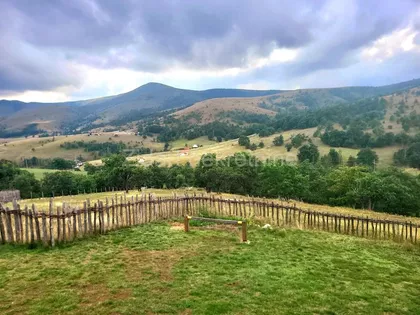 Gajevi | 4zida.rs